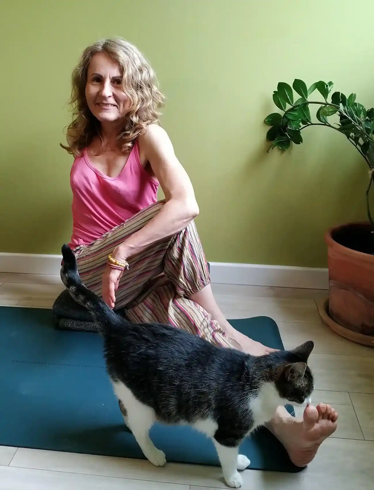 Joga - układy z kotem :)